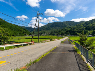 夏の田園を通る道路の風景