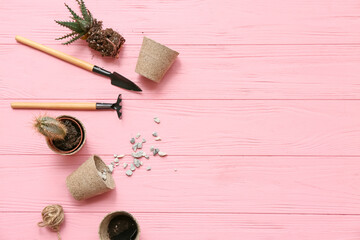 Transplanting plant and gardening tools on pink background. Top view