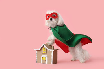 Cute little dog in superhero costume with toy house on pink background