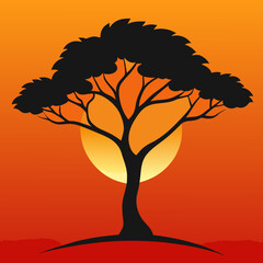 Silhouette of an acacia tree against a vibrant african sunset