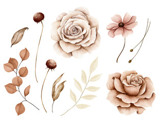 Watercolor floral illustration set in boho style on white background with cream and brown roses, blush cosmos, green and copper eucalyptus and dried little flowers, leaves and branches © Carol Lozove