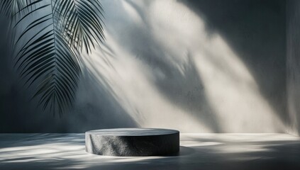 Serene Minimalist Studio: Product Display with Palm Leaf Shadows