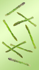Fresh asparagus falling on green gradient background