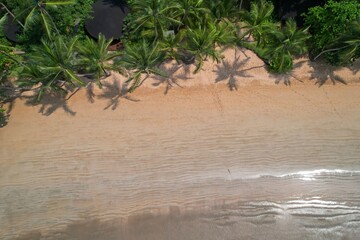Bird's eye view of Bom Bom beach at Ilha do Principe,Sao Tome,