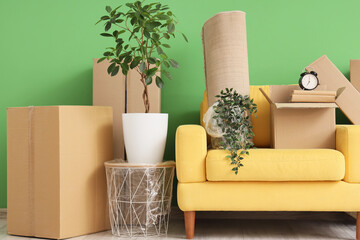 Furniture, houseplants and cardboard boxes with belongings near green wall. Moving house concept