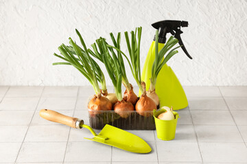Plastic container with cultivated green onion, gardening shovel and spray bottle on white tile table