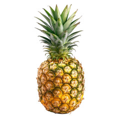 Single pineapple, vibrant yellow-gold skin, green crown (7)