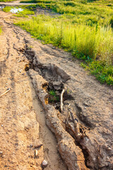 Erosion of sandy soil on a slope
