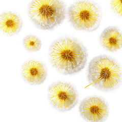 Obraz premium Close-up of dandelion-like paper decorations