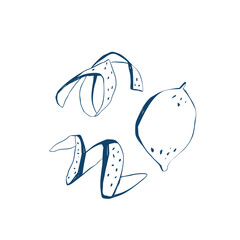 Lemon fruit with curled zest peels hand drawn in simple clean line art style isolated on white