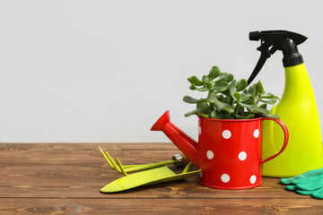 Succulent and gardening tools on table against white background