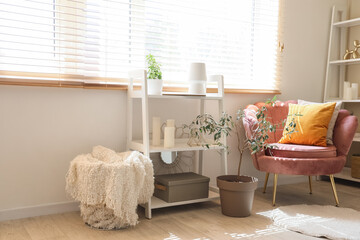 Armchair with cushions, houseplant and shelving unit near window in room