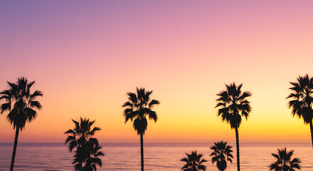 Enchanting coastal dusk featuring silhouetted palm trees against a gradient sky backdrop