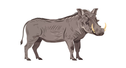 Fototapeta premium Captivating Warthog Illustration: A Detailed Depiction of Wildlife in a Stylized and Artistic Form