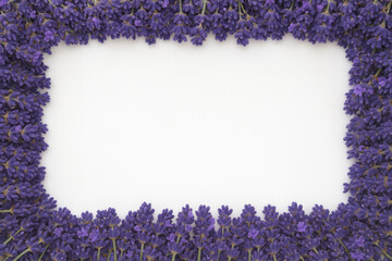 White frame with lavender flowers border 