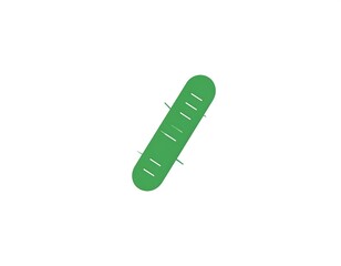 Green cylindrical object with lines
