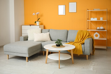 Cozy sofa with plaid and cushion, coffee table, shelving unit and chest of drawers with orchid in living room