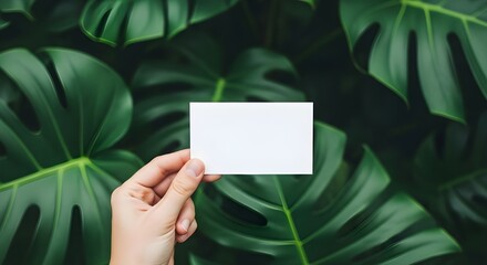 Hand holding blank white card against lush green tropical foliage image