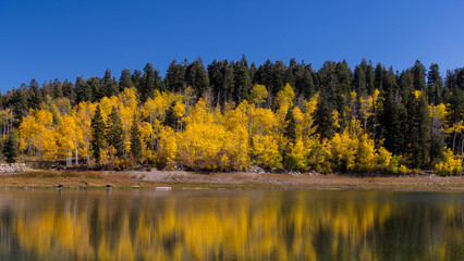 Colorful fall foliage at Maple lake with reflections along Mount Nebo loop in Utah,