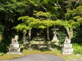 里山に建つ神社の狛犬と鳥居