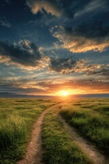 Fototapeta premium Sunset path through grassy field