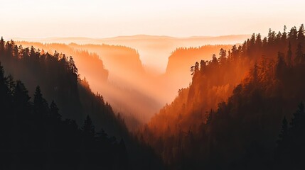 Obraz premium Golden light illuminating a deep mountain valley.