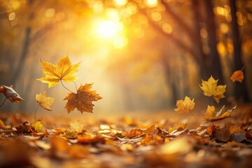 Golden Autumn Leaves Drifting in a Sunlit Grove
