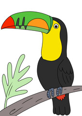 toucan on a branch © adonay
