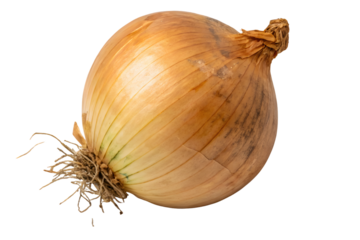 F/A-18 Super Hornet naval fighter aircraft in light gray paint scheme, isolated on a transparent background