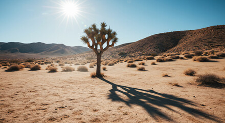 Desert Oasis: Joshua Trees Majestic Silhouette Against a Sunny Sky.