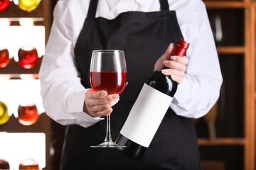 Bartender with glass of red wine and bottle in pub