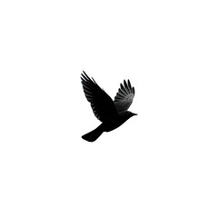 Obraz premium Majestic bird soaring gracefully in the clear blue sky, showcasing freedom and beauty in nature's vast expanse