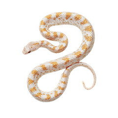 Obraz premium Elegant White Python Slithering Gracefully Across a Surface, Showcasing Intricate Patterns and Textures