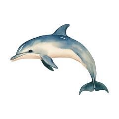 watercolour clipart dolphin isolated on white background