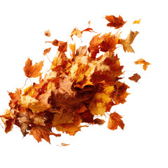 Fototapeta premium Autumn leaves in motion