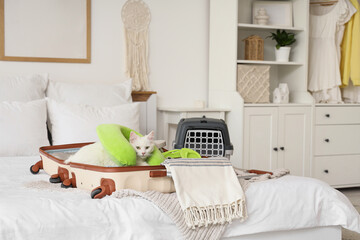 Cute white cat in open suitcase with things and pet carrier on bed at home