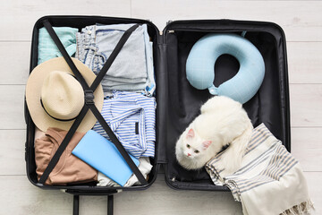 Cute white cat in open suitcase with things on floor at home