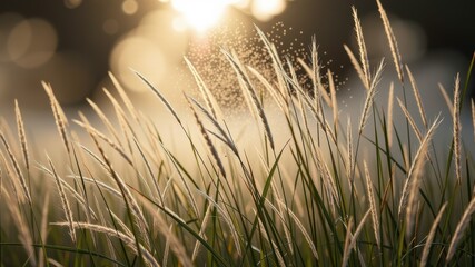 Lush grass sways gently in wind, capturing energy in remote coastal area, illuminated by warm glow of sun