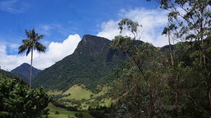 Salento and Cocora Valley, colombia