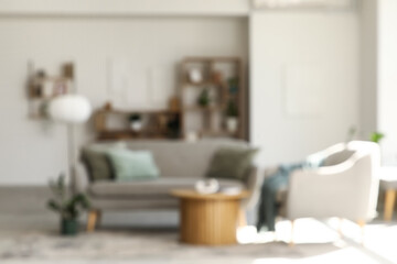 Blurred view of cozy sofa with armchair, coffee table and shelving units in living room