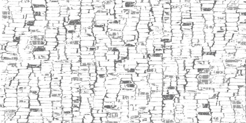 Grunge black and white texture. Monochrome background of cracks, Dark design abstract surface modern design
