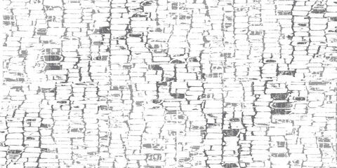 Grunge black and white texture. Monochrome background of cracks, Dark design abstract surface modern good pattern simple art illustrations interior texture