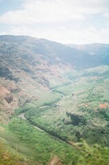 aerial view of the river