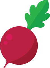 Fresh Beetroot vector art illustration