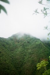 misty morning in the mountains