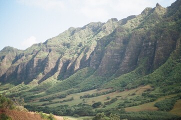 mountain landscape in summer