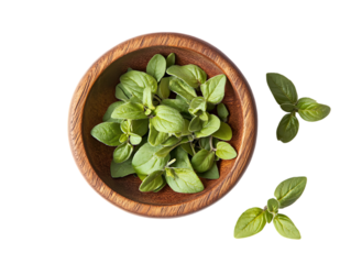 Fresh green lamb s lettuce in a wooden bowl isolated on transparent background