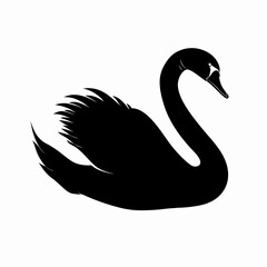Elegant Silhouette of a Majestic Black Swan with Detailed Feathering on a Pure White Background