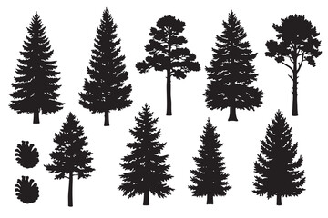 Obraz premium Black silhouette pine tree collection. Vector illustration.
