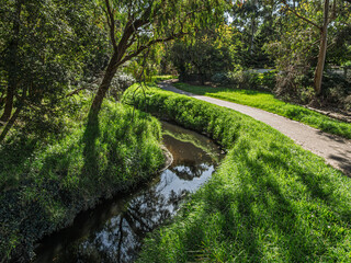 Curving Trail And Creek Green Edged